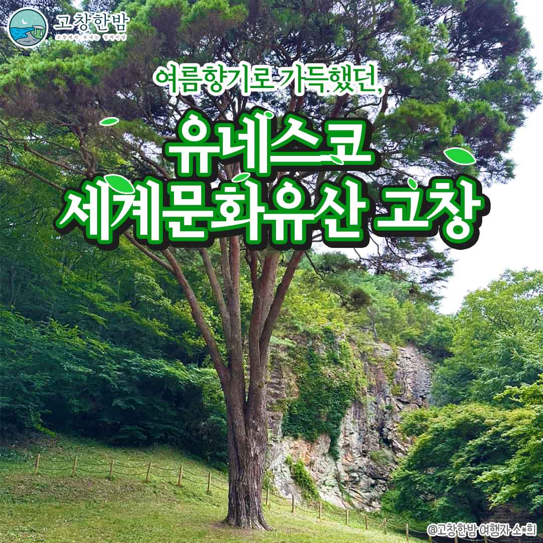 유네스코 세계문화유산 고창_2