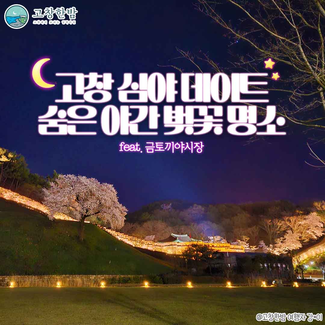 고창 심야 데이트 숨은 야간 벚꽃 명소_2