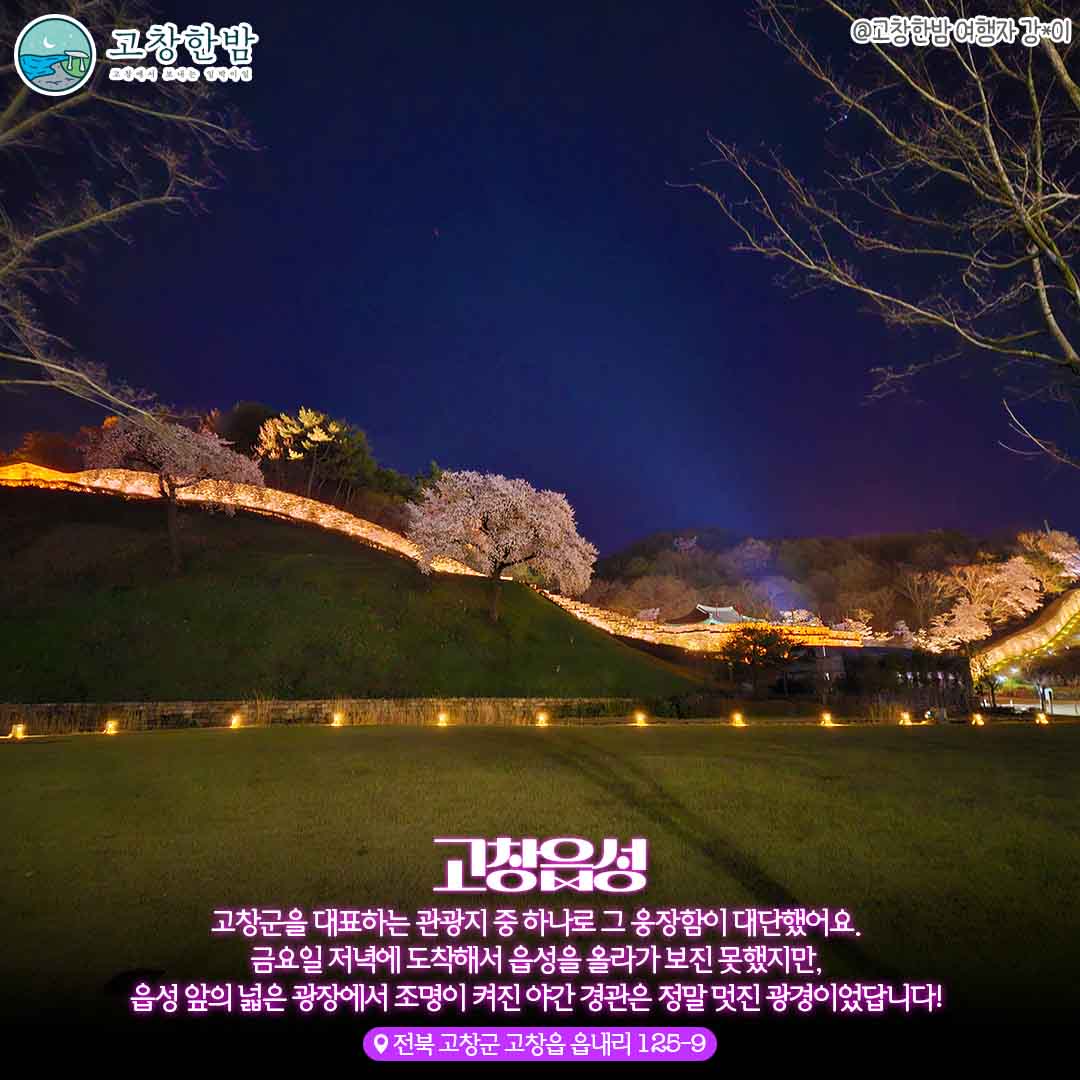 고창 심야 데이트 숨은 야간 벚꽃 명소_3