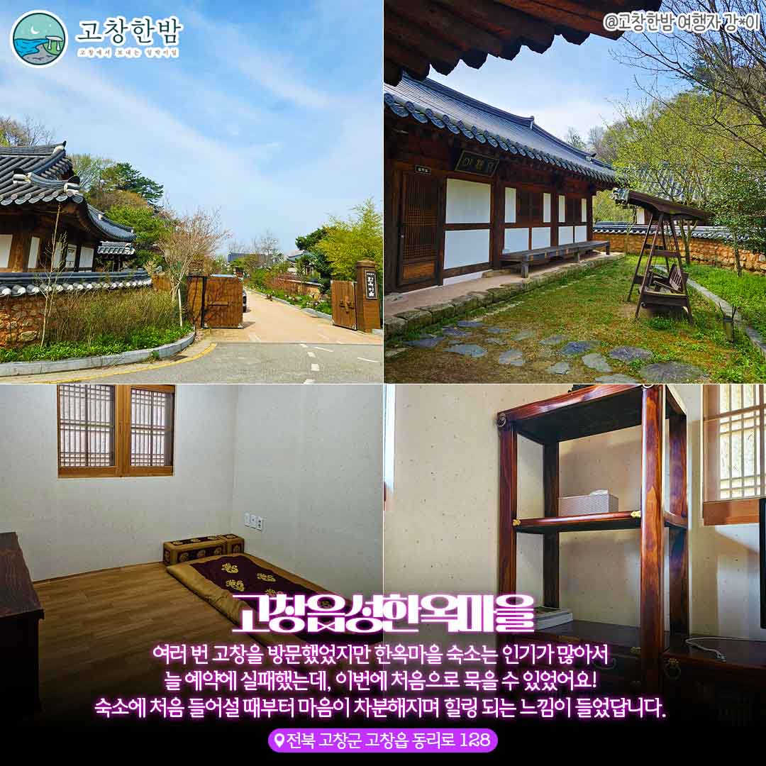 고창 심야 데이트 숨은 야간 벚꽃 명소_5