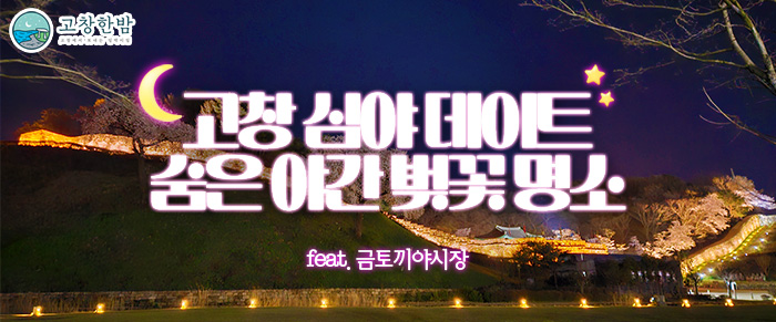 고창 심야 데이트 숨은 야간 벚꽃 명소