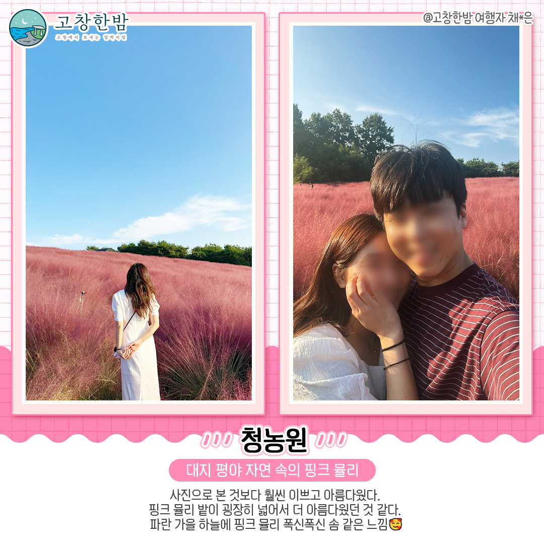 고창 가을꽃 명소 총정리_4