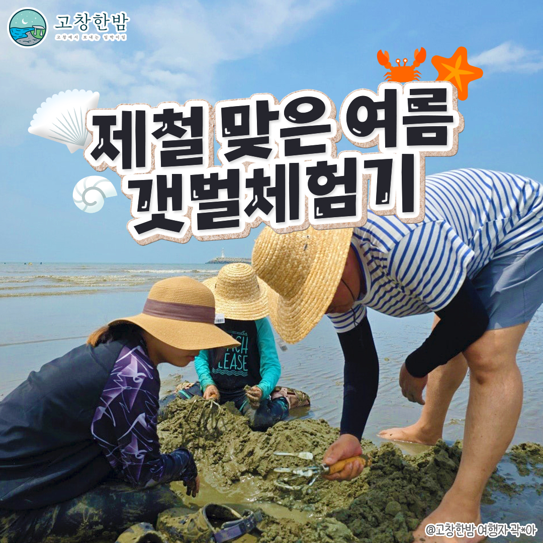 제철 맞은 고창의 여름, 갯벌체험기 ✨